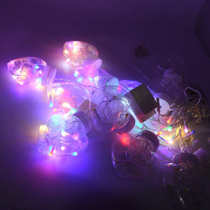 PremiumAV PremiumAV 8 Feet 12 Wish Heart Ball String LED Lights With Color Box for Home Decoration, Diwali & Wedding LED Christmas Light Indoor and Outdoor Ligh 