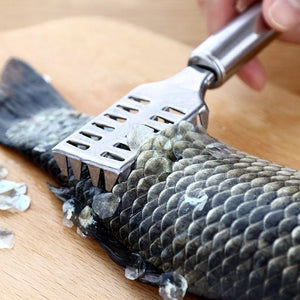 Stainless Steel Fish Scale Remover Scraper – Sawtooth Kitchen Tool  - PremiumAV