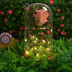 PremiumAV PremiumAV Glass Flower with Led Light Great Gift (1 Set) –  