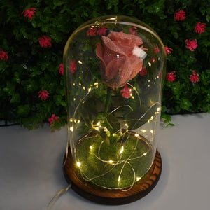 PremiumAV Glass Flower with Led Light Great Gift (1 Set)  - PremiumAV