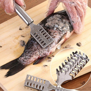 Stainless Steel Fish Scale Remover Scraper – Sawtooth Kitchen Tool  - PremiumAV