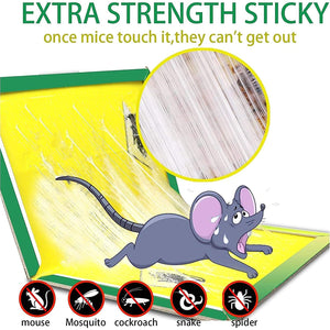 PCI Cardboard Troublegum Small Size Mouse Trap-1pc  - PremiumAV