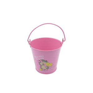 Small Metal Bucket for Plants & Decor (1 Pc, With Handle)