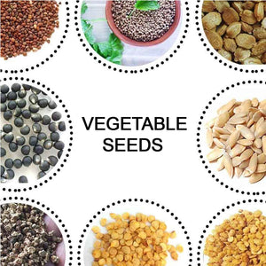 PremiumAV 15 Varieties of Vegetable Seeds Combo (1 Pkt. / 15 Varieties) - PremiumAV