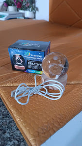PremiumAV Fish 3D Crystal Ball lamps With Base (1 Pc) - PremiumAV