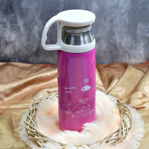PremiumAV Stainless Steel Mix Bottle for Water & Beverages (1 Pc)