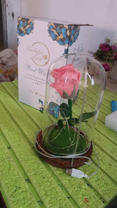 PremiumAV Glass Flower with Led Light Great Gift (1 Set)  - PremiumAV