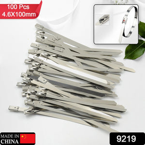 PremiumAV Stainless Steel Cable Ties for Solar & Home Use (100 Pc, 4.6x100mm)  - PremiumAV