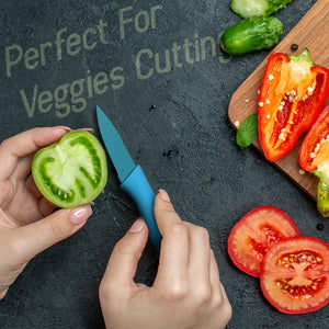 PremiumAV Corrugated 6Pc Kitchen Knife Set Professional Box Knife Set 6 Piece Forged Kitchen Knives with Box. - PremiumAV