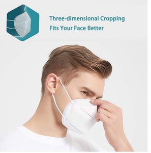 PremiumAV N95 Anti Pollution / Virus Face Mask (10 Pcs Set) - PremiumAV