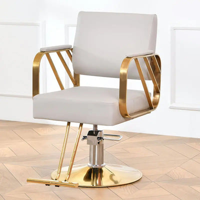PremiumAV Salon Chair Hydraulic Chair for Business or Home, Simplicity Barber Chair Salon Beauty Spa Shampoo Hair Professional  Hydraulic Styling Chai