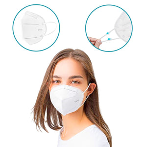 PremiumAV N95 Anti Pollution / Virus Face Mask (10 Pcs Set) - PremiumAV