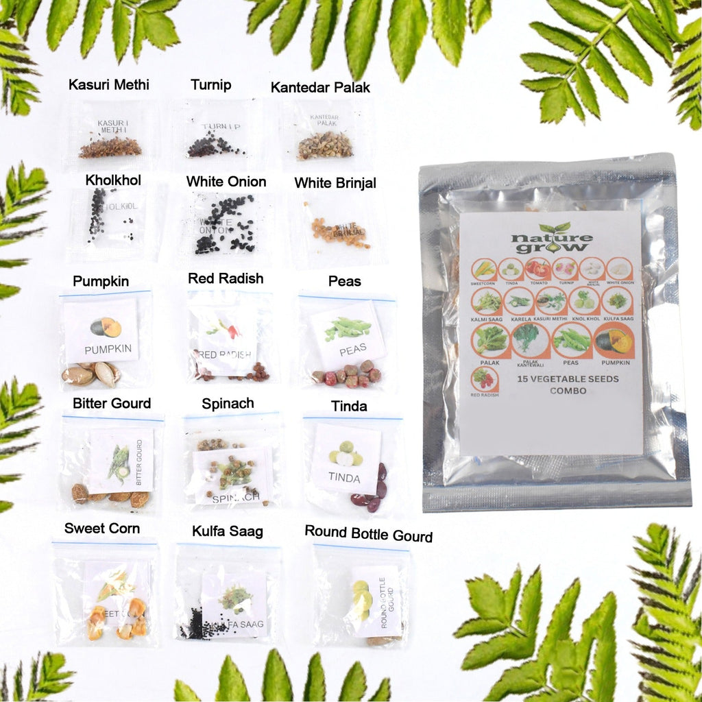 PremiumAV PremiumAV 15 Varieties of Vegetable Seeds Combo (1 Pkt. / 15 Varieties) –  